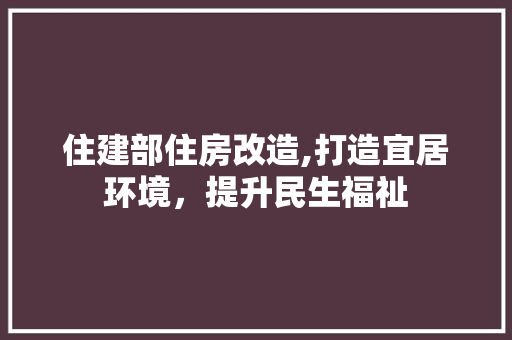 住建部住房改造,打造宜居环境，提升民生福祉