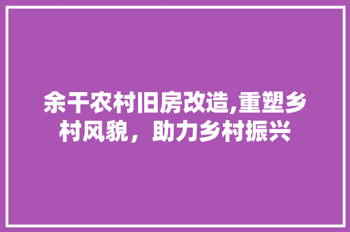 余干农村旧房改造,重塑乡村风貌，助力乡村振兴