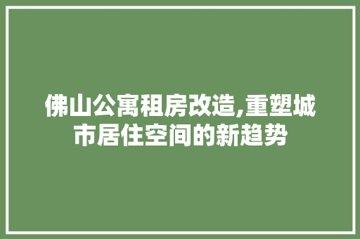 佛山公寓租房改造,重塑城市居住空间的新趋势