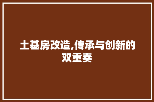土基房改造,传承与创新的双重奏 墙面装饰 土基房改造,传承与创新的双重奏 墙面装饰