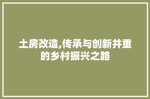 土房改造,传承与创新并重的乡村振兴之路