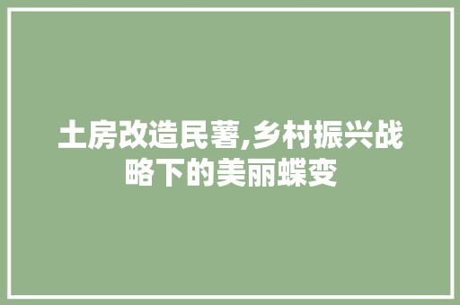 土房改造民薯,乡村振兴战略下的美丽蝶变 隔断设计