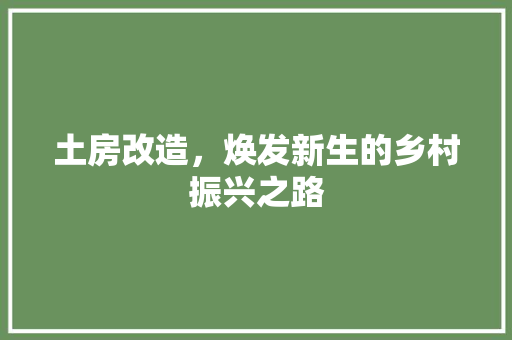 土房改造，焕发新生的乡村振兴之路 建筑设计
