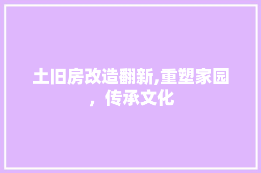 土旧房改造翻新,重塑家园，传承文化