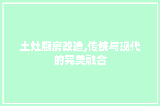 土灶厨房改造,传统与现代的完美融合 装修材料