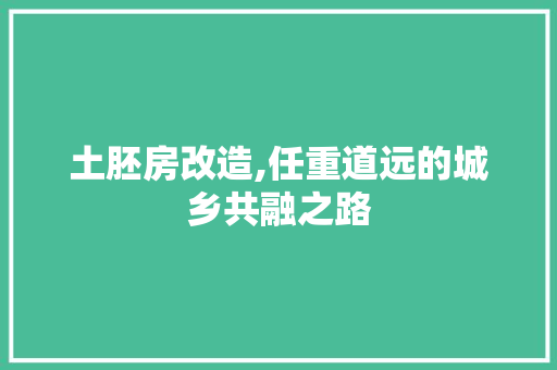 土胚房改造,任重道远的城乡共融之路