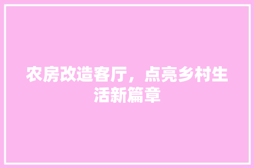 农房改造客厅，点亮乡村生活新篇章 庭院装修