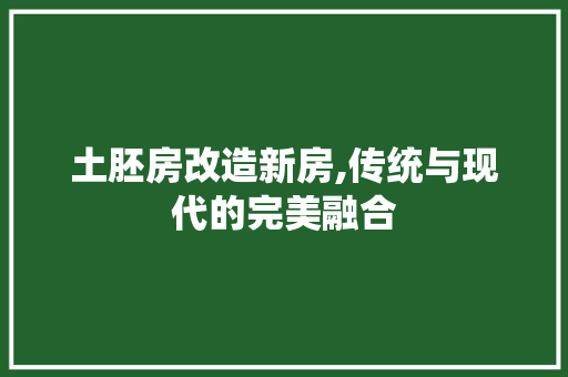 土胚房改造新房,传统与现代的完美融合 地面装修 土胚房改造新房,传统与现代的完美融合 地面装修