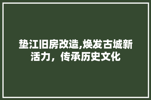 垫江旧房改造,焕发古城新活力，传承历史文化 景观设计
