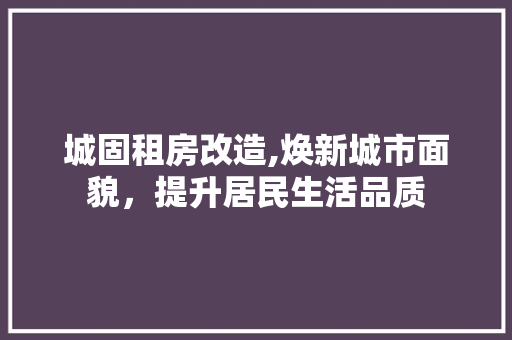 城固租房改造,焕新城市面貌，提升居民生活品质 隔断设计