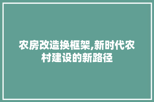 农房改造换框架,新时代农村建设的新路径 装修材料