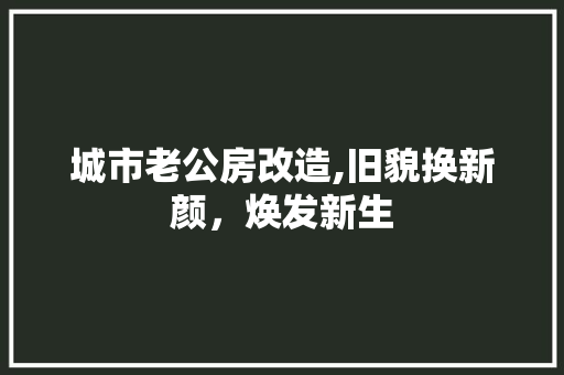 城市老公房改造,旧貌换新颜，焕发新生 装修攻略