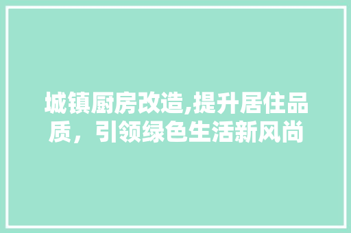 城镇厨房改造,提升居住品质，引领绿色生活新风尚 建筑设计