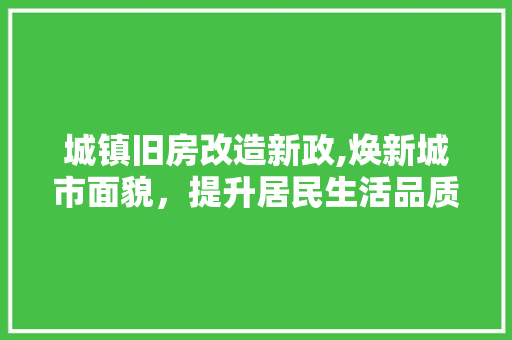 城镇旧房改造新政,焕新城市面貌，提升居民生活品质 景观设计
