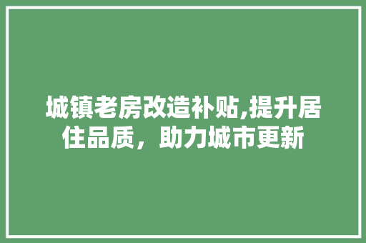 城镇老房改造补贴,提升居住品质,助力城市更新 墙面装饰 城镇老房改造补贴,提升居住品质,助力城市更新 墙面装饰