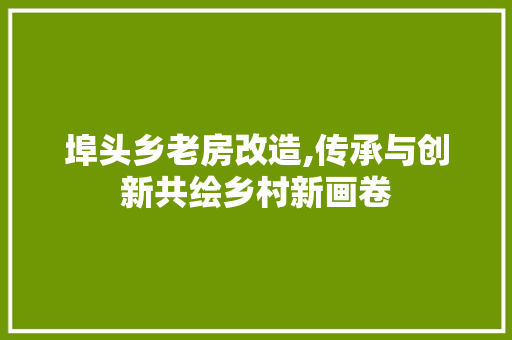 埠头乡老房改造,传承与创新共绘乡村新画卷 庭院装修 埠头乡老房改造,传承与创新共绘乡村新画卷 庭院装修