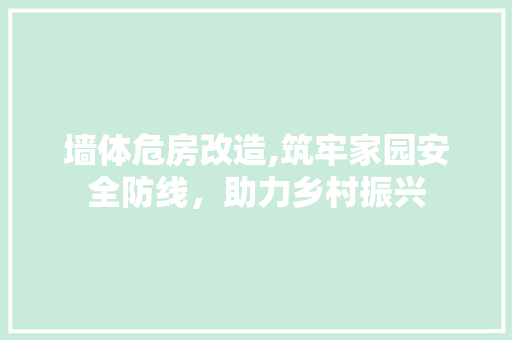 墙体危房改造,筑牢家园安全防线，助力乡村振兴 建筑设计