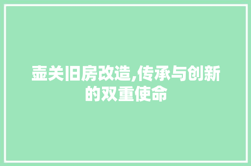壶关旧房改造,传承与创新的双重使命 庭院装修