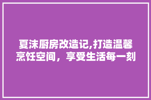 夏沫厨房改造记,打造温馨烹饪空间,享受生活每一刻 隔断设计 夏沫厨房改造记,打造温馨烹饪空间,享受生活每一刻 隔断设计