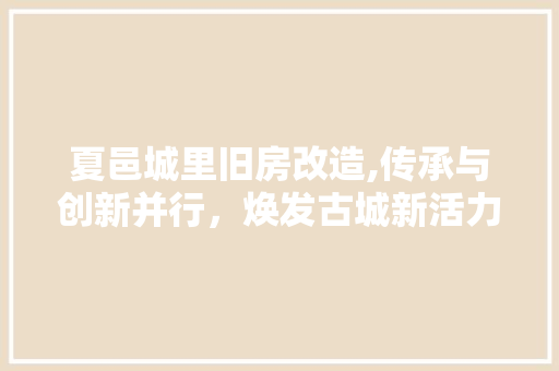 夏邑城里旧房改造,传承与创新并行，焕发古城新活力