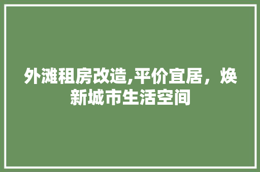 外滩租房改造,平价宜居，焕新城市生活空间 装修攻略