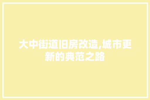 大中街道旧房改造,城市更新的典范之路