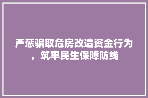 严惩骗取危房改造资金行为，筑牢民生保障防线