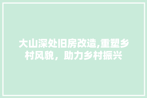 大山深处旧房改造,重塑乡村风貌，助力乡村振兴
