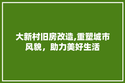 大新村旧房改造,重塑城市风貌，助力美好生活