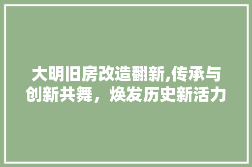大明旧房改造翻新,传承与创新共舞，焕发历史新活力