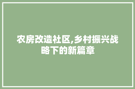 农房改造社区,乡村振兴战略下的新篇章 墙面装饰