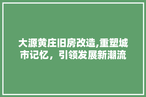 大源黄庄旧房改造,重塑城市记忆，引领发展新潮流 装修攻略
