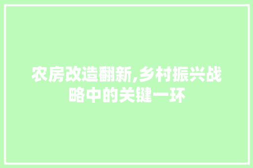 农房改造翻新,乡村振兴战略中的关键一环