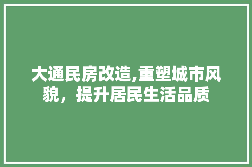 大通民房改造,重塑城市风貌,提升居民生活品质 建筑设计 大通民房改造,重塑城市风貌,提升居民生活品质 建筑设计