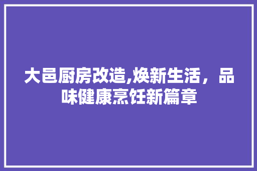 大邑厨房改造,焕新生活，品味健康烹饪新篇章 装修材料