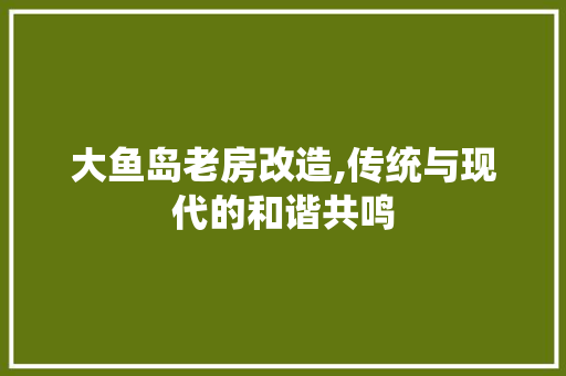 大鱼岛老房改造,传统与现代的和谐共鸣 景观设计