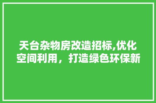 天台杂物房改造招标,优化空间利用，打造绿色环保新天地