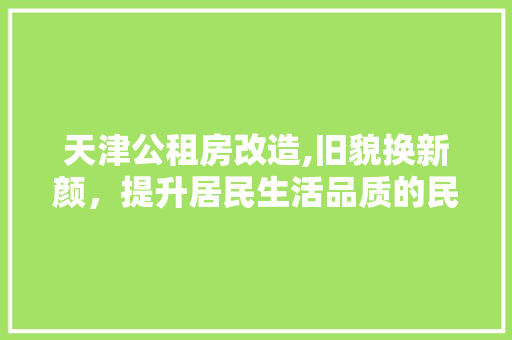 天津公租房改造,旧貌换新颜，提升居民生活品质的民生工程