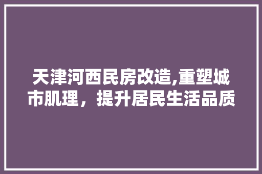 天津河西民房改造,重塑城市肌理，提升居民生活品质 景观设计