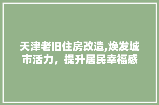 天津老旧住房改造,焕发城市活力，提升居民幸福感 墙面装饰
