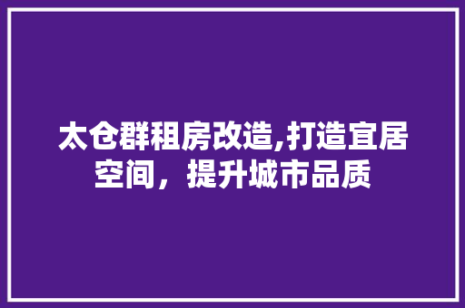 太仓群租房改造,打造宜居空间，提升城市品质 墙面装饰