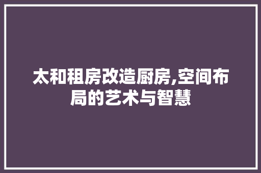 太和租房改造厨房,空间布局的艺术与智慧 装修攻略 太和租房改造厨房,空间布局的艺术与智慧 装修攻略