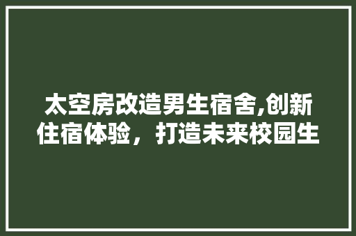太空房改造男生宿舍,创新住宿体验，打造未来校园生活新范式 庭院装修