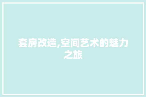 套房改造,空间艺术的魅力之旅