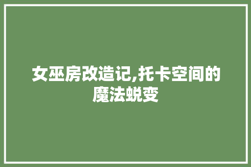 女巫房改造记,托卡空间的魔法蜕变