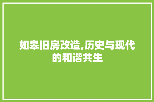 如皋旧房改造,历史与现代的和谐共生