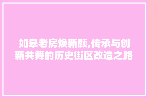 如皋老房焕新颜,传承与创新共舞的历史街区改造之路