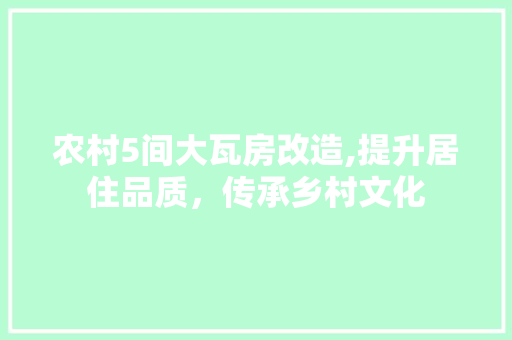 农村5间大瓦房改造,提升居住品质，传承乡村文化