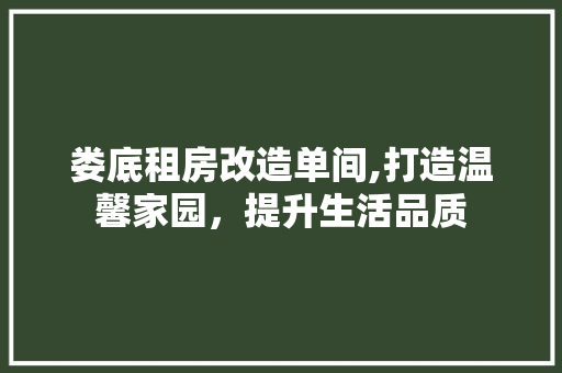 娄底租房改造单间,打造温馨家园，提升生活品质