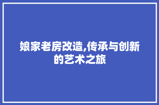娘家老房改造,传承与创新的艺术之旅 隔断设计